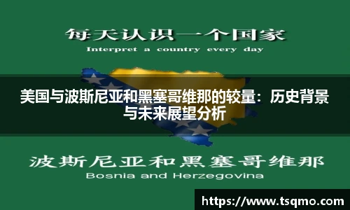 美国与波斯尼亚和黑塞哥维那的较量：历史背景与未来展望分析